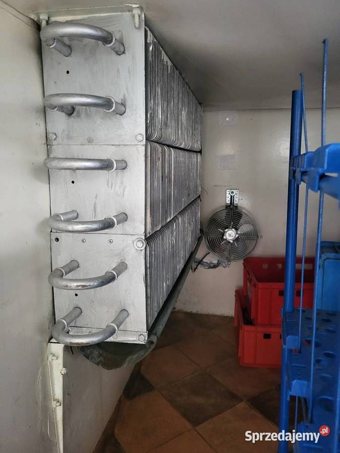 Przyczepka chlodnia Jędrzejów sprzedam