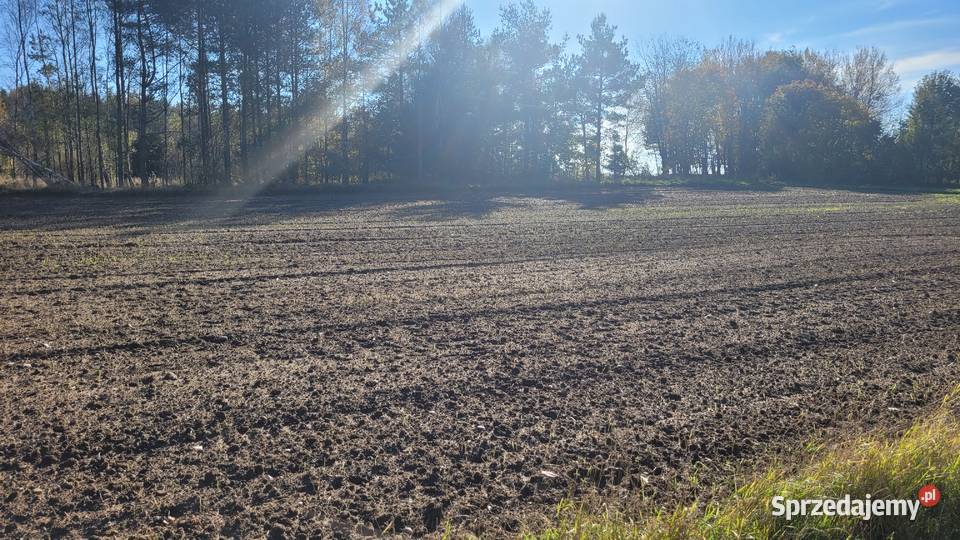 2 działki budowlane w Donimierzu k Szemuda sprzedam