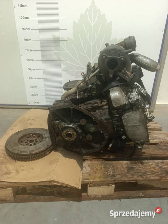 Silnik kompletny Nissan Pathfinder R51 Navara sprzedam