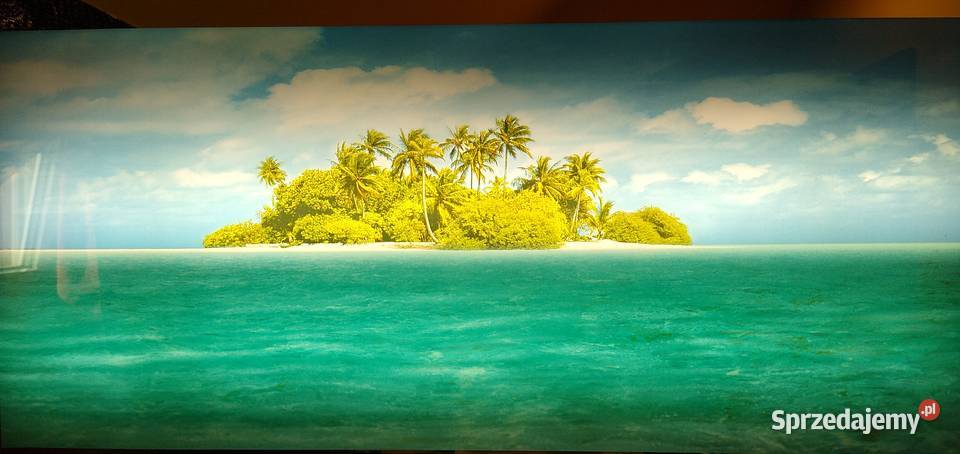 Obraz retro z dźwiękiem świecący 8widoków palmy Legionowo sprzedam