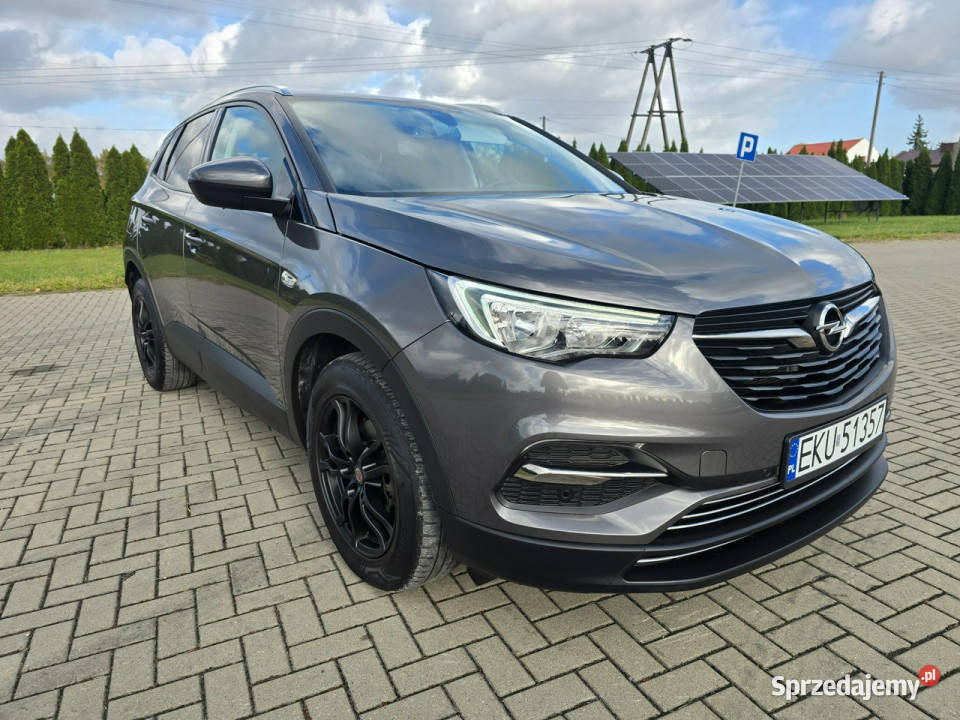 Opel Grandland X 12Turbo Benz NaviAsystent Pasa Kutno sprzedam