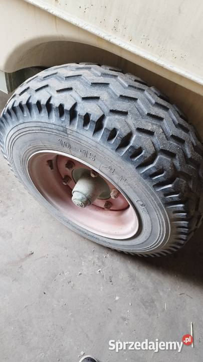 ŚLĘZA SADOWNICZA Zwoleń sprzedam