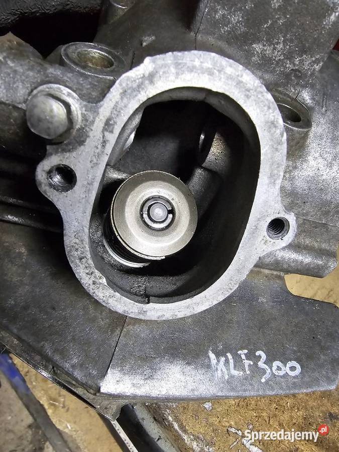 Kawasaki klf 300 2x4 głowica zawór zawory klf300 dolnośląskie