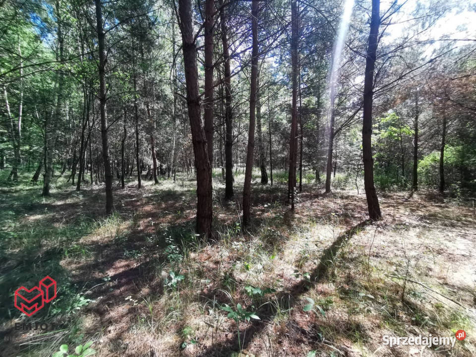 Dom na sprzedaż 73m2 Sieradz