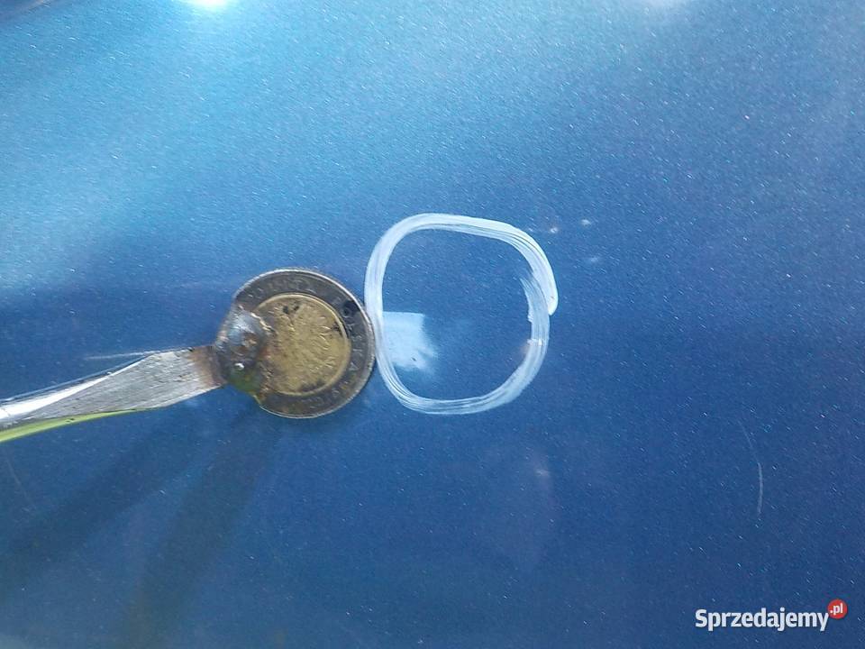 TOYOTA PRIUS II 15 VVTI 07r HB 5D drzwi lewe osobowe Drzwi Drzwi Suków