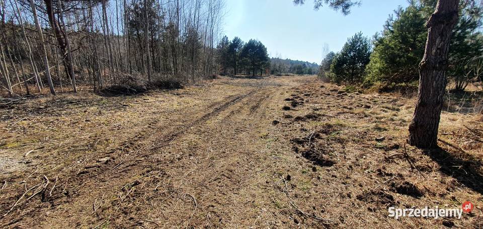 Działki budowlane Mniszek Radom