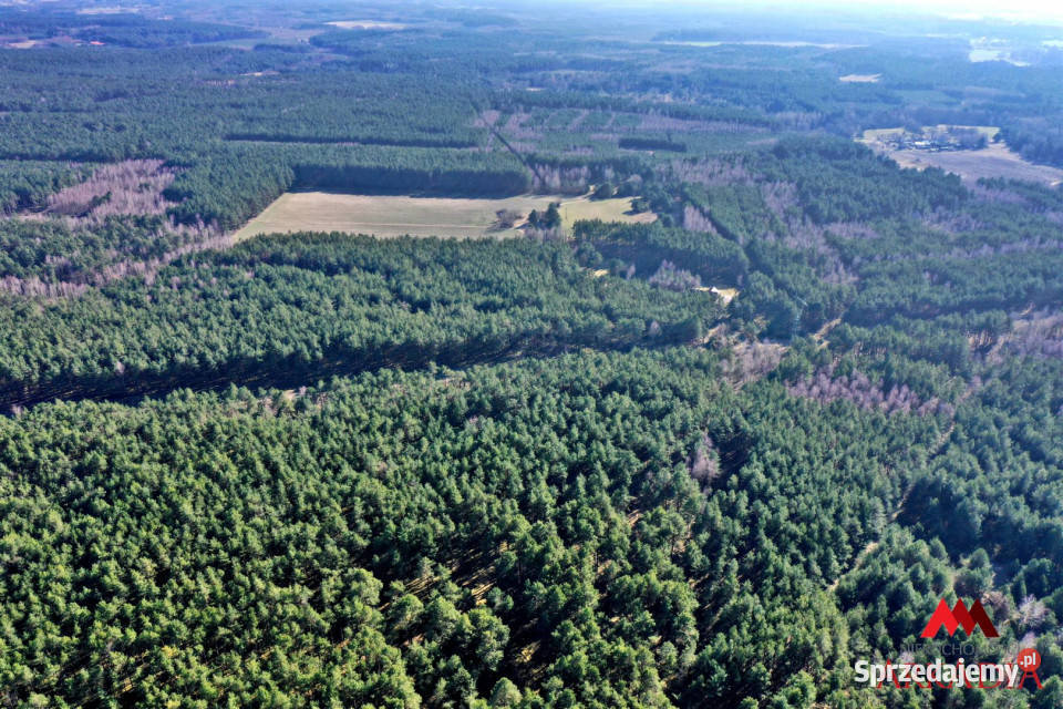 sprzedaży działki 12600m2 Bobrownickie Pole Grunty i działki