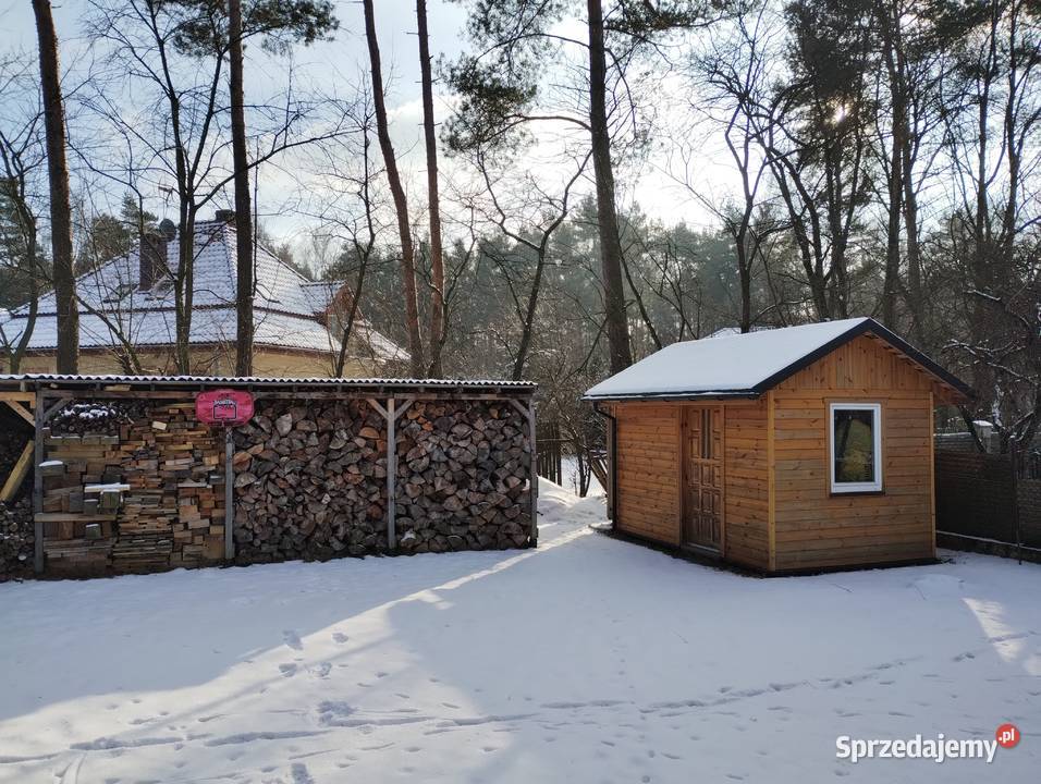 Sławków dom wolnostojący lasem
