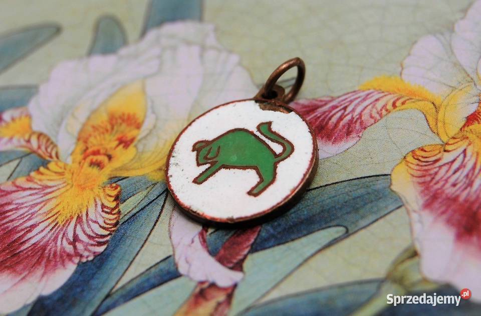 Byk zodiak emalia cloisonne brąz wisiorek Lublin