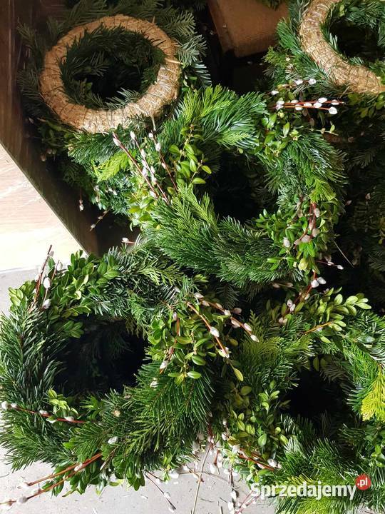 wianki Wielkanocne wiank żywe PRODUCENT Mrozy