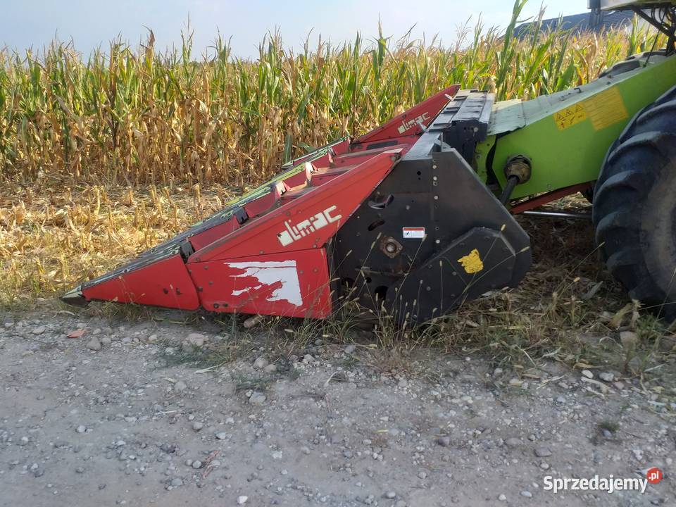 Przystawka do kukurydzy Olimac Drago 2 2012r 5