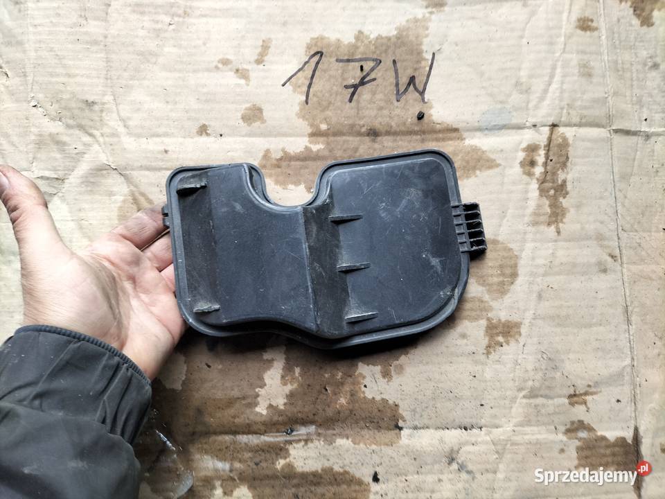 205958C1 DEKIELEK LAMPY OSŁONA ŻARÓWEK FIAT Kamień-Kolonia