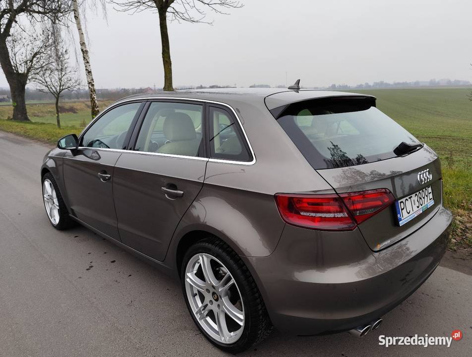 Audi A3 8V 2013r 20 TDI skóra alu 18 navi Lubasz