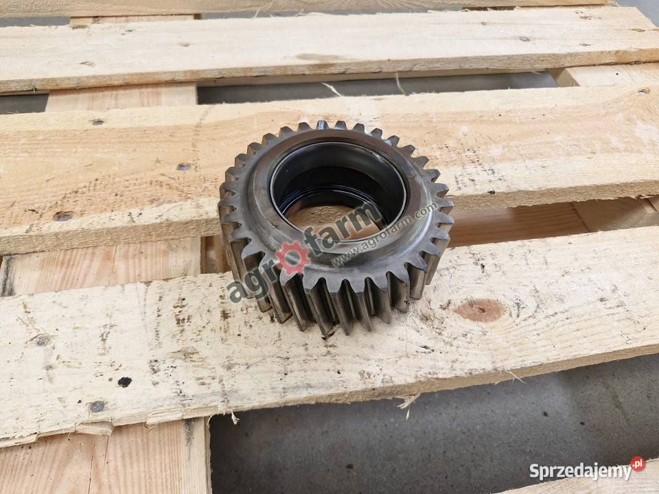 Koło zębate Z32 Case MX240 MX270 MX285 Byków