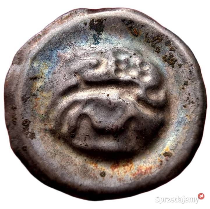 Brakteat z lwem Braunschweig XIV w ładne srebro podkarpackie Nisko sprzedam