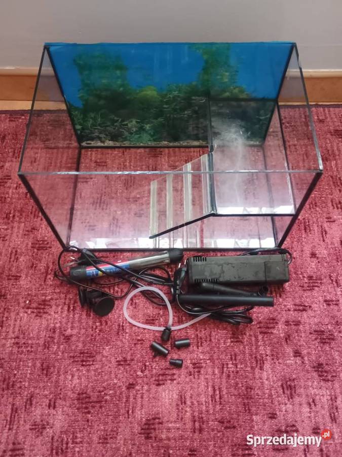 Sprzedam terrarium zołwia wodno lądowego Krynka usługi dla zwierząt