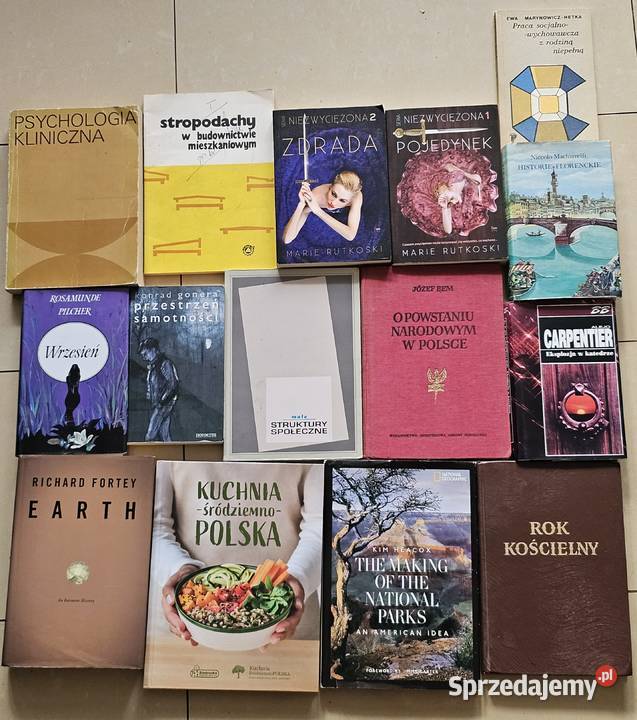 KSIĄŻKI 43 SZTUKI Zielona Góra