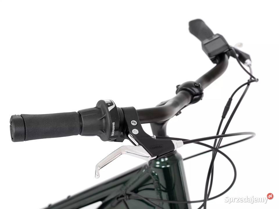 Romet ProEco TRK 10 Low Frame Bełchatów