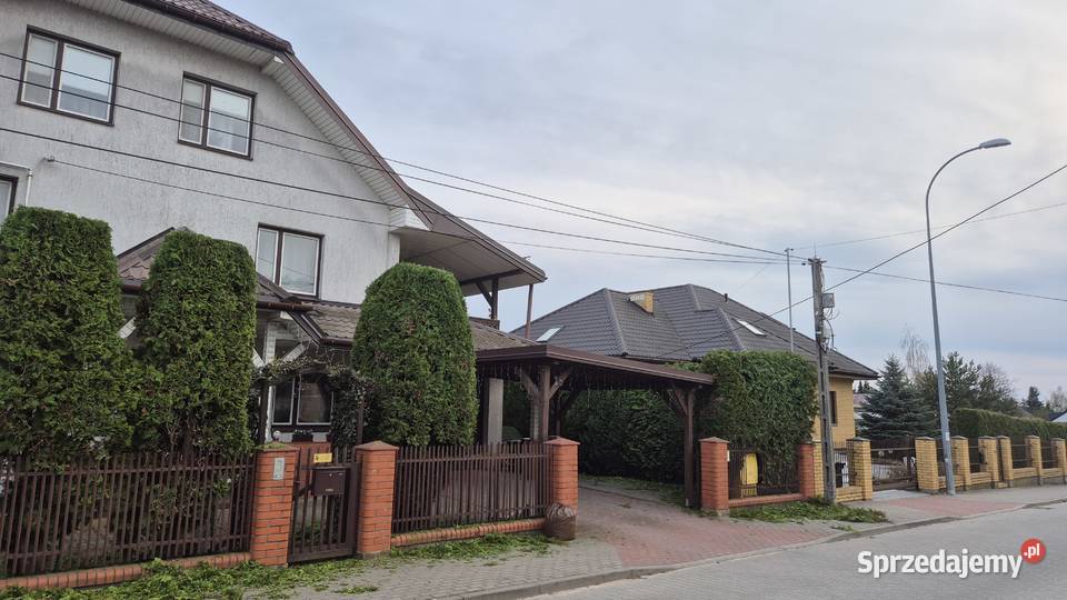 Przycinanie Tui Cięcie Krzewów i Żywopłotów Białystok