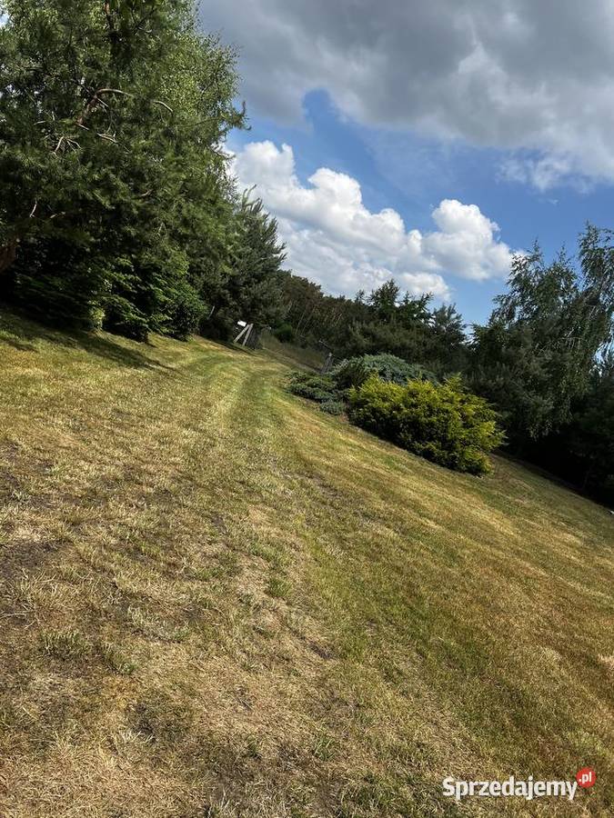 Wynajem działka domek holenderski Czołowo