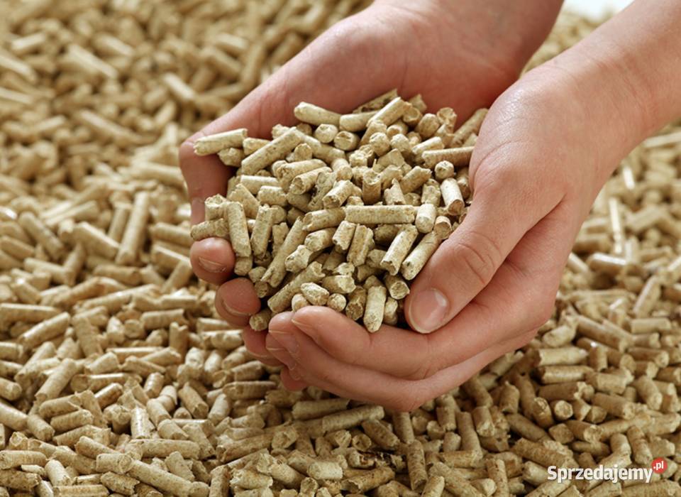 Pelet drzewny Puławy