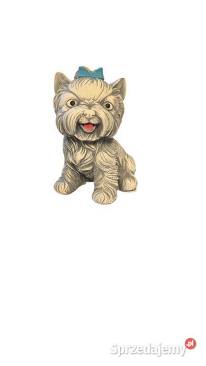 Piesek z gipsu odlew psa York Poznań