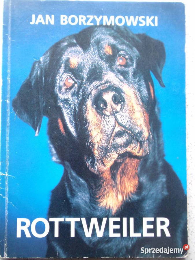 Rottweiler Jan Borzymowski Łódź