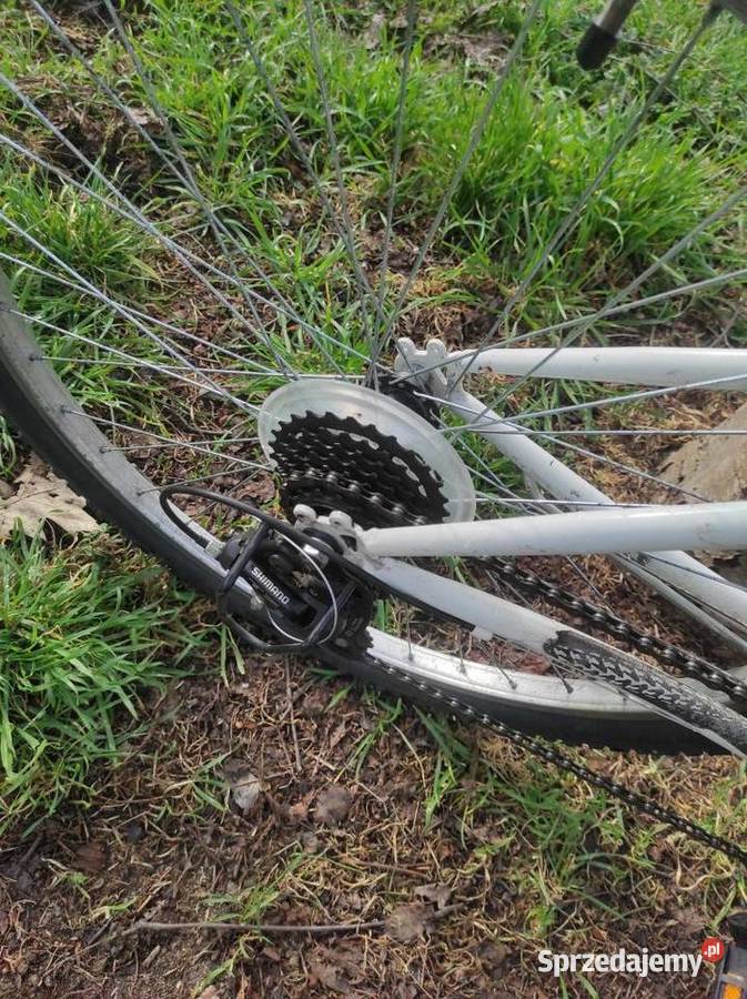 Rower miejski damka Active Leader koła 26 Górskie, MTB Wrocław