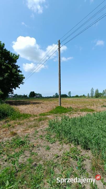 Działka 7 plaży okazja Docenisz ciszę Groszkowo Nieruchomości Sztutowo