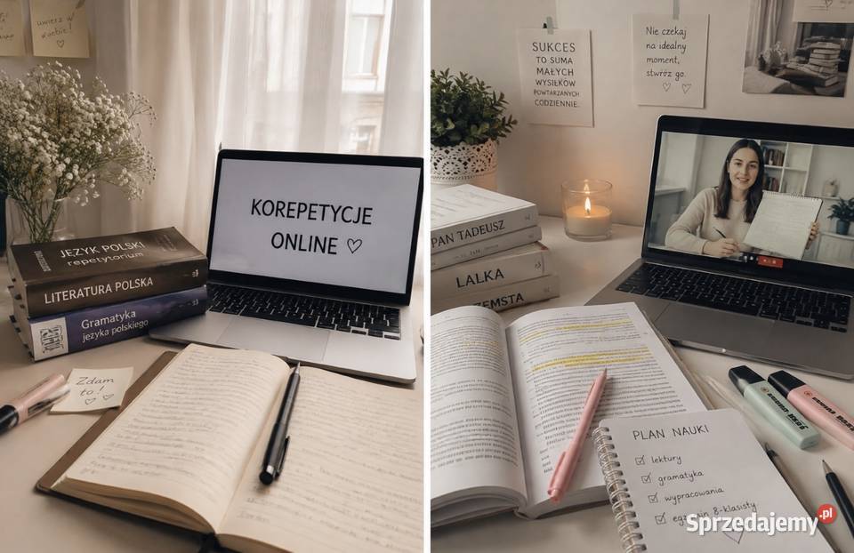 Język polski korepetycje online Klasy 18 Egzamin Nauka i korepetycje Warszawa