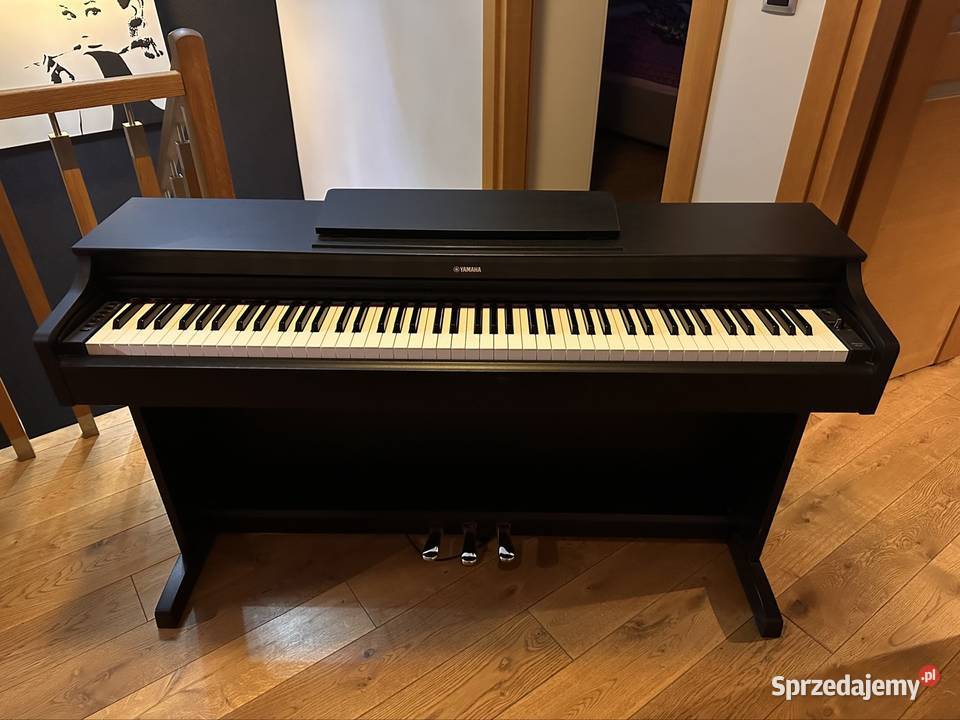Yamaha YDP 163 Kobyłka