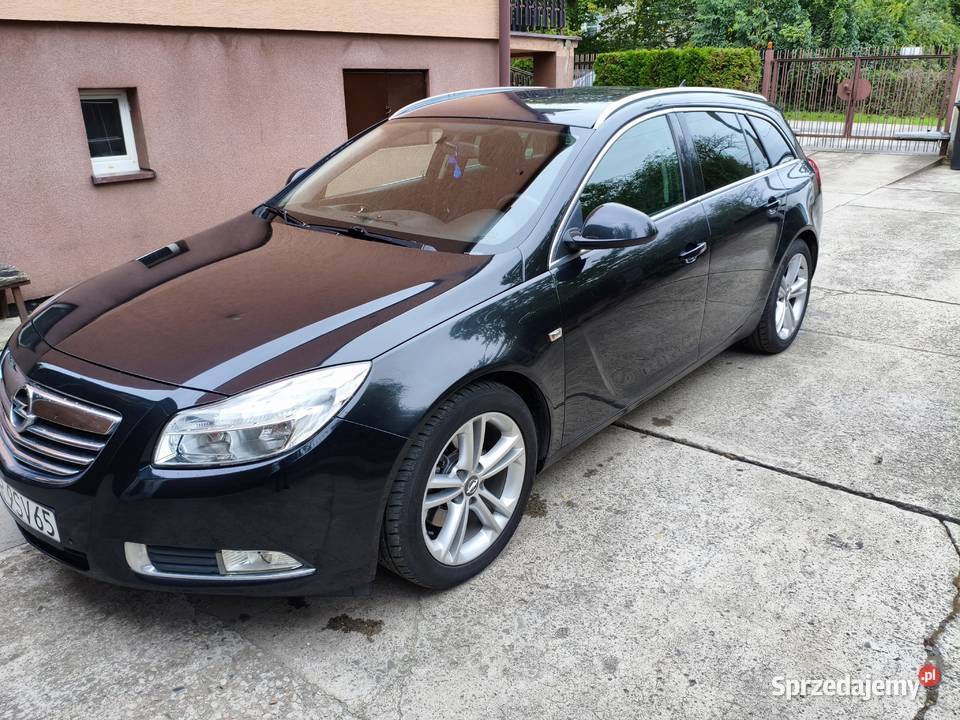 Opel Insygnia 20 CDTI Motoryzacja Bibice