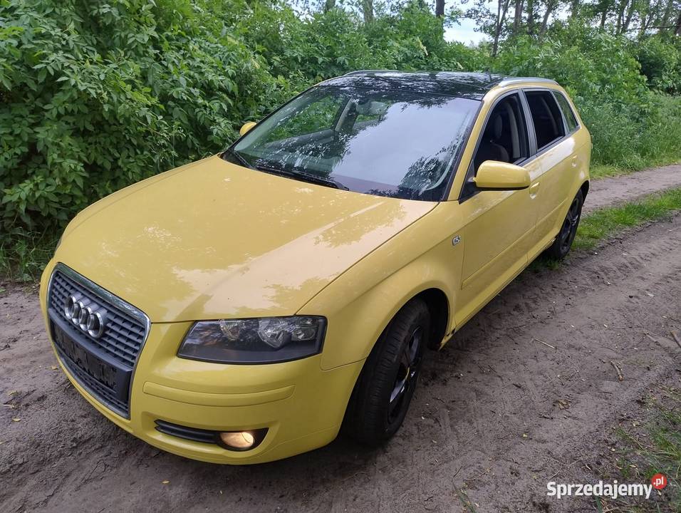Audi a3 8p 5d Rychwał