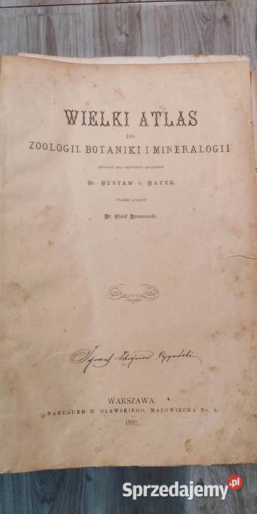 Atlas zoologii botaniki i mineraologii 1887 Antyki Nowe Gronowo