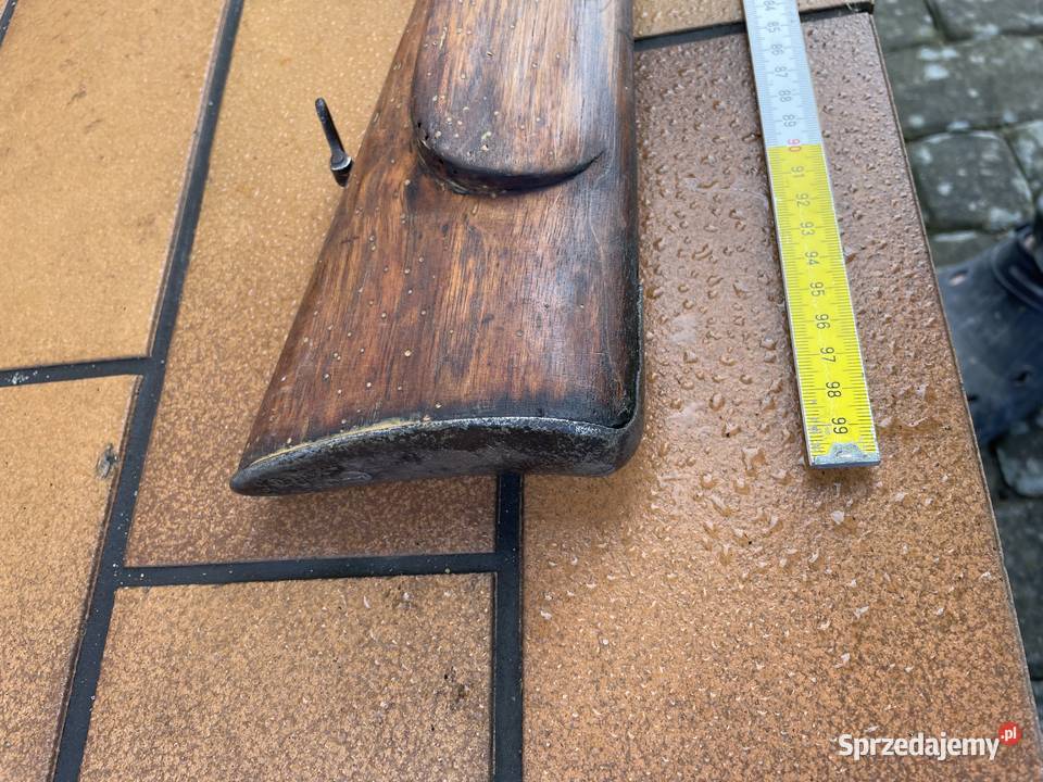 Ptaszniczka belgijska kapiszonowa Sport i Wypoczynek sprzedam