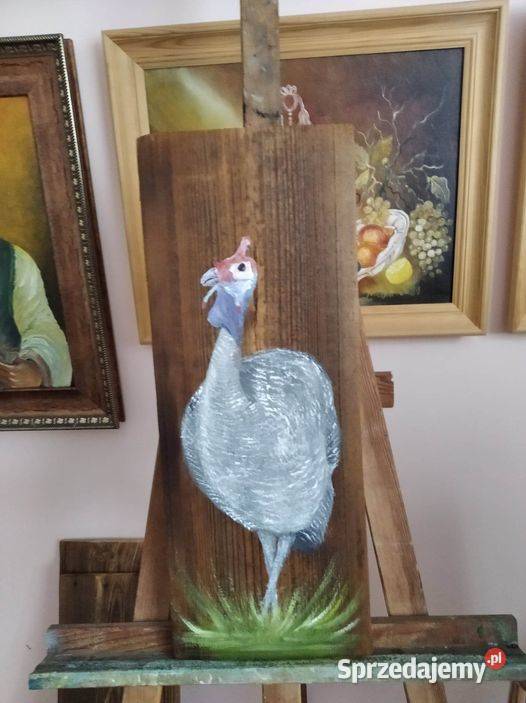Koguty kury konie psy na deskach inne ptaki sprzedam