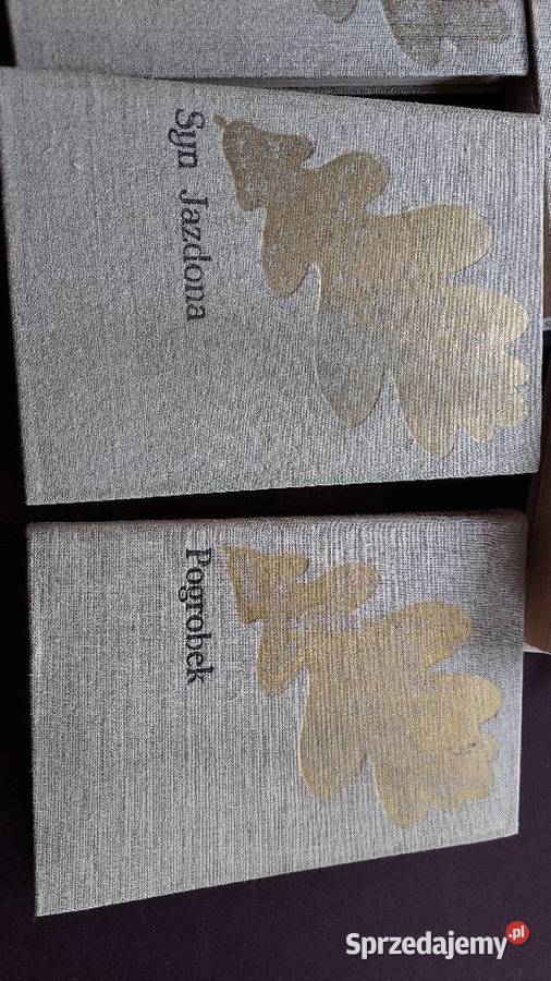 JI Kraszewski Pogrobek Stach z KonarKraków twarda Pozostałe łódzkie Pabianice