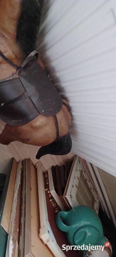 KOŃ ZE SKÓRY CIĘŻKI DAWNE CZASY PRLU JEDNA NOGA Poznań