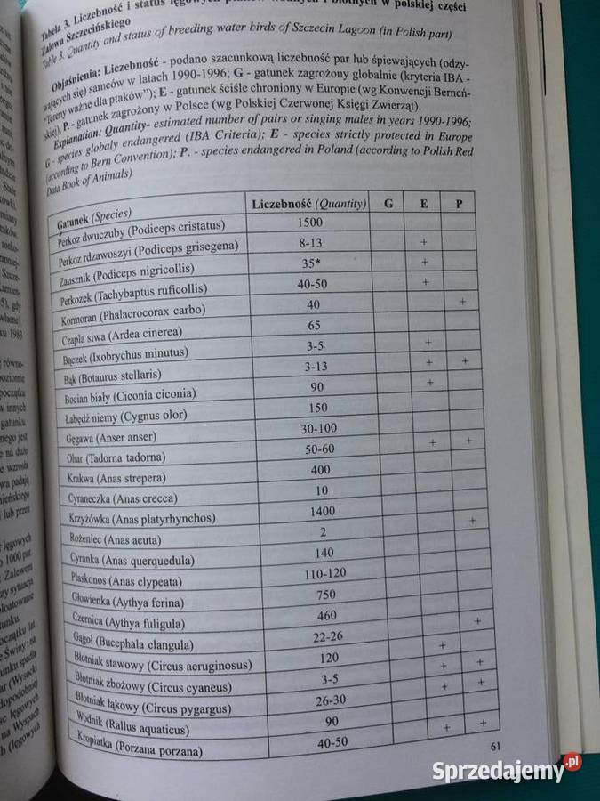 3431 Ostoje Ptaków W Pol Części Zalewu Szczecin