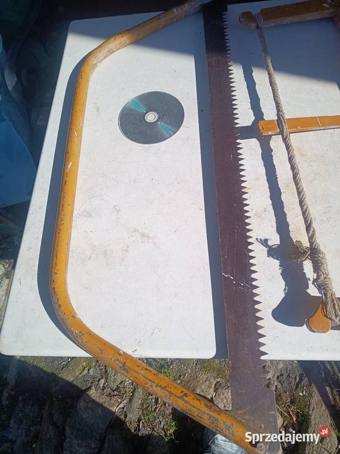 Piła do drzewa dolnośląskie Leśna