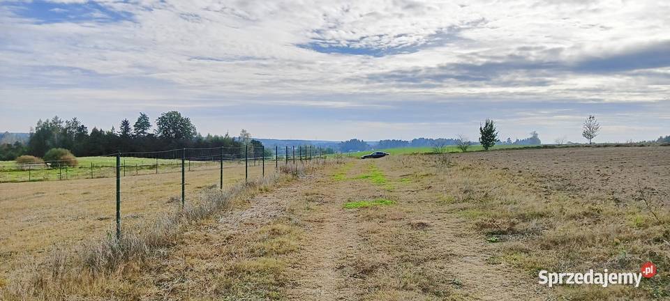 Działka w Szemudzkiej Hucie 149 M2