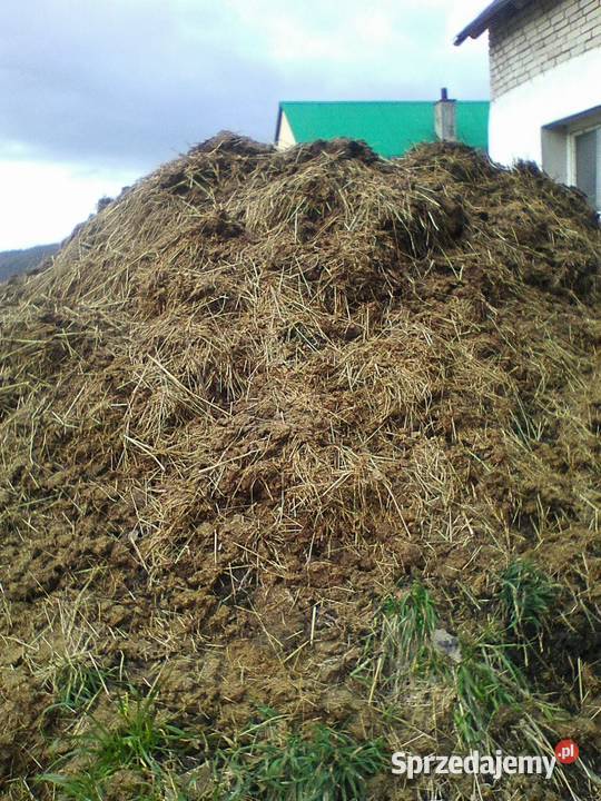 Obornik nawóz naturalny Limanowa sprzedam