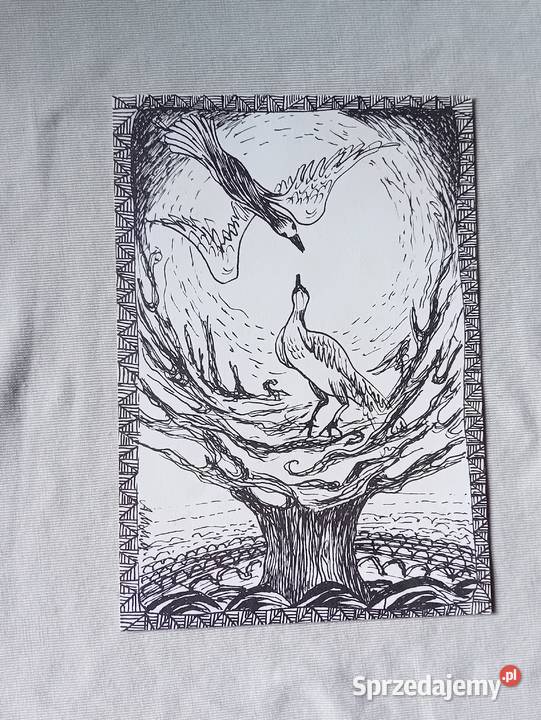 Pocztówka z ryciną ptaki budujące gniazdo Gazeta wielkopolskie Koźminek