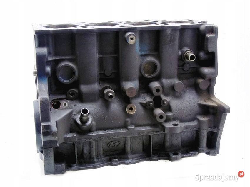 BLOK D4EA 20 CRDI SANTA FE CARENS SPORTAGE 2 osobowe Sosnowiec