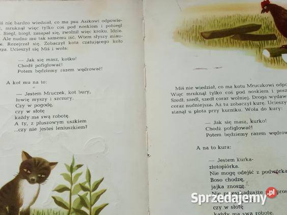 Przygoda misia Szelburg Zarembina Księżniczka z Łódź
