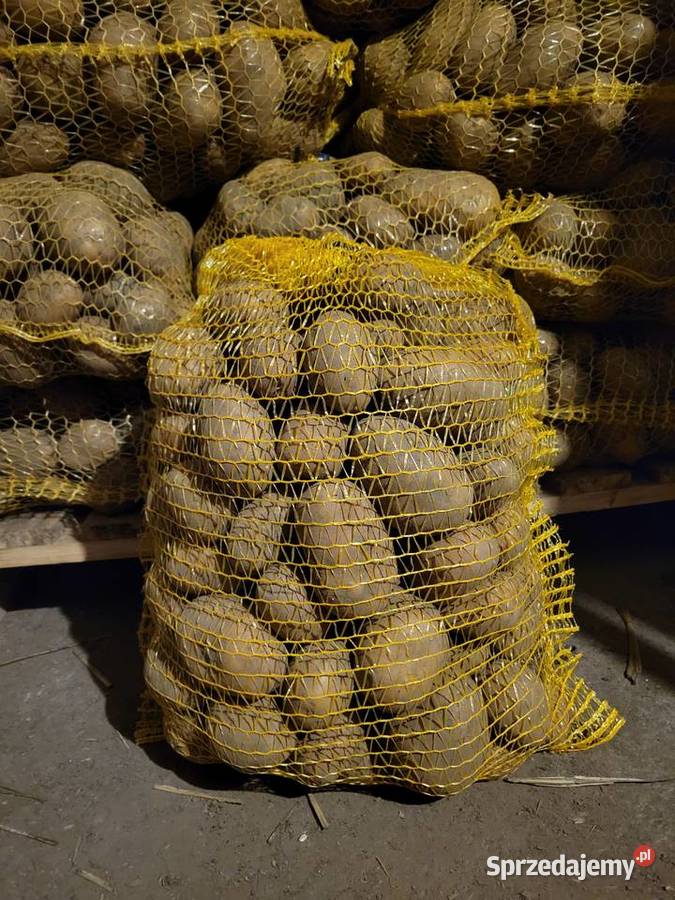 Sprzedam Ziemniaki Rośliny okopowe Uściszowice