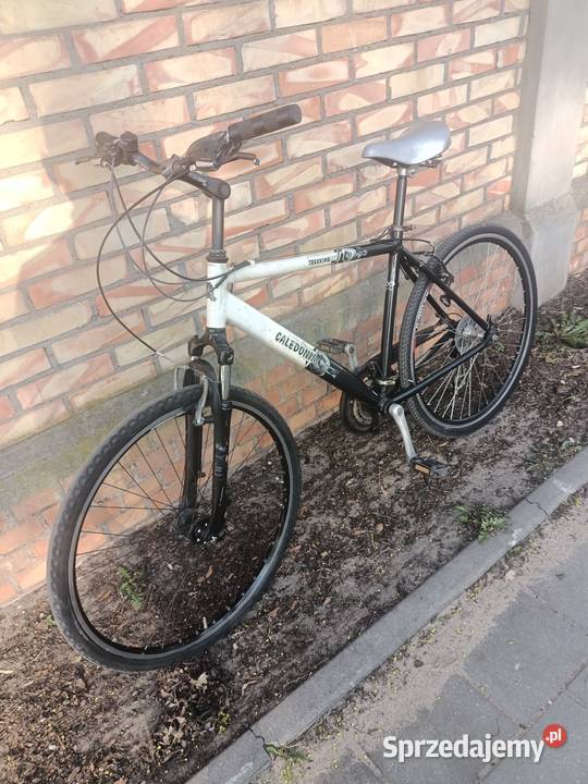 Rower Caledonia koła 28 Toruń