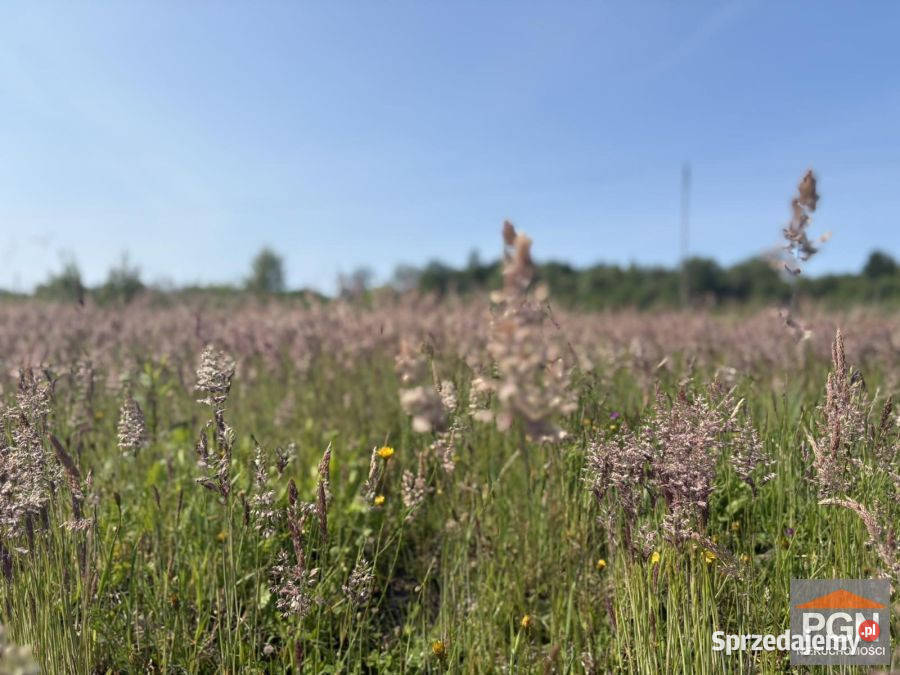 Sprzedam działka Trzebiatów 929m2 45m