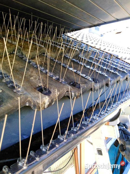 Montaż kolców przeciw ptakom Warszawa Montaż