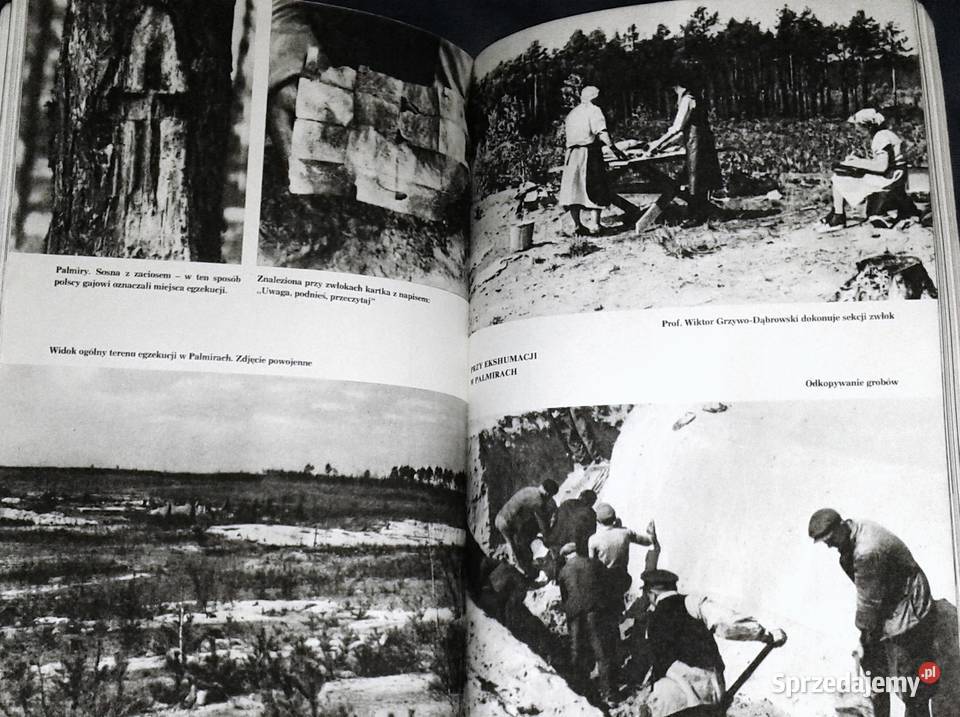 Palmiry Władysław Bartoszewski Kultura i Rozrywka Chełm sprzedam